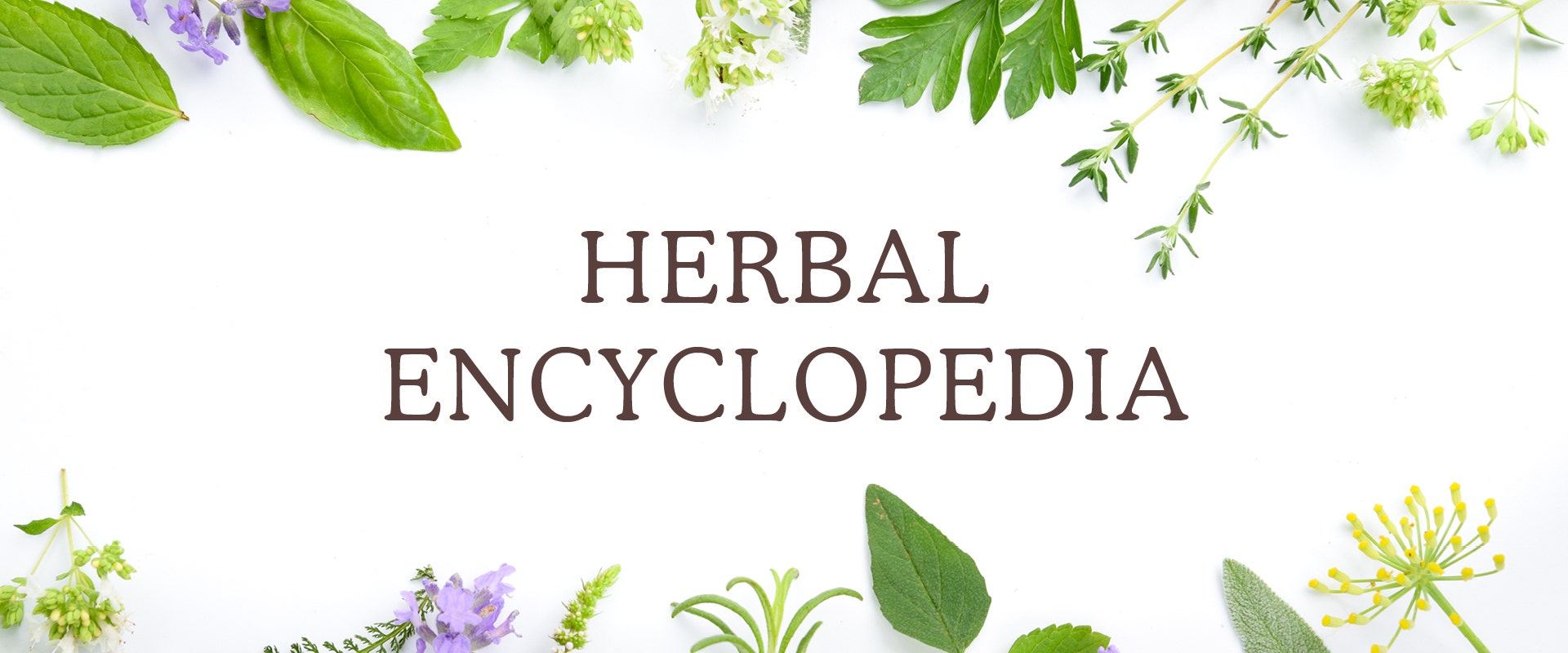 herbal encyclopedia