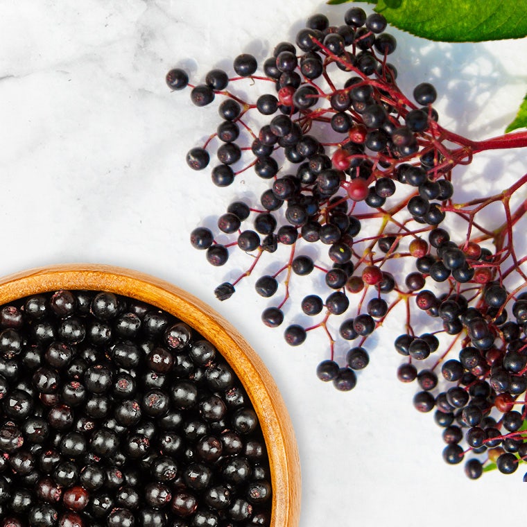 elderberry gummies