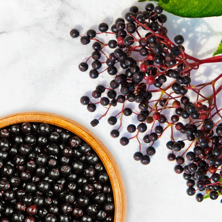 elderberry gummies benefits