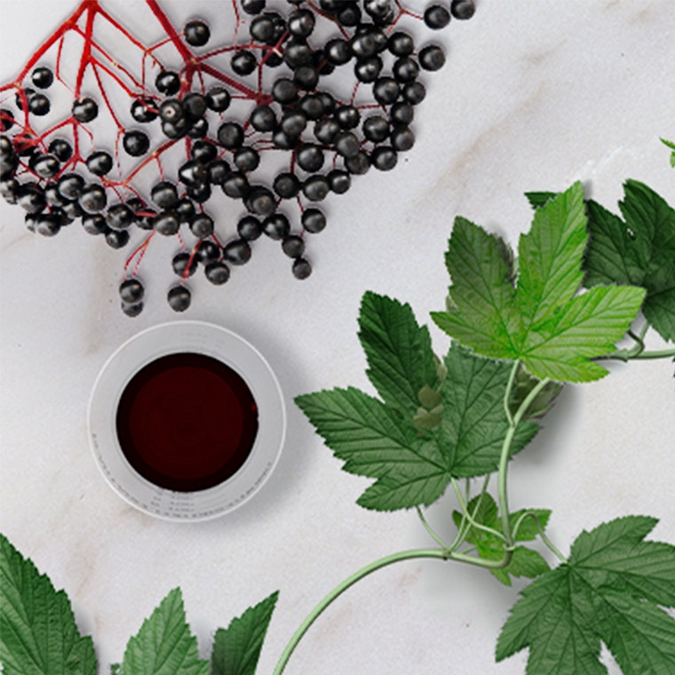 elderberry cough syrup