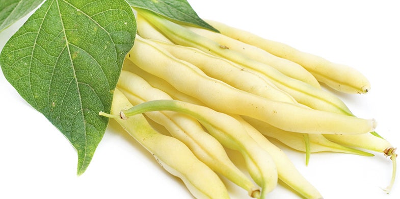 Why Yellow Peas Are the Superfood You Need for Protein & Fiber