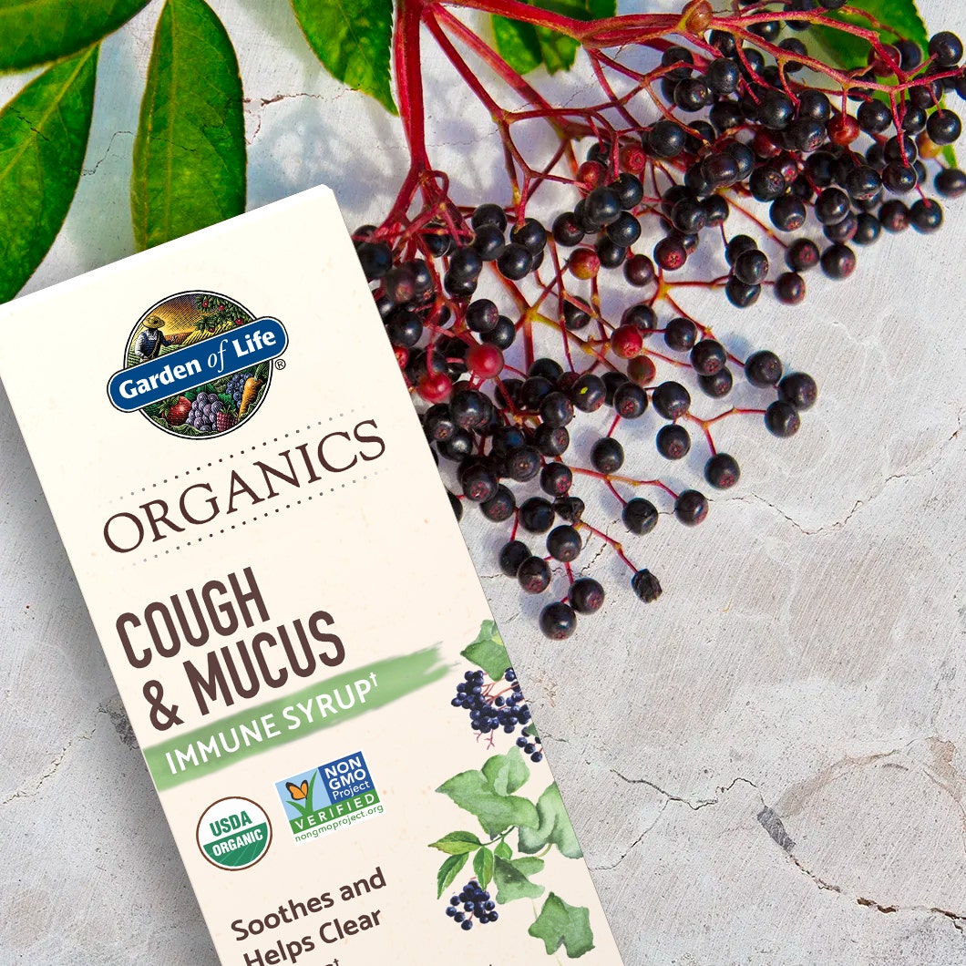 organic elderberry syrup 