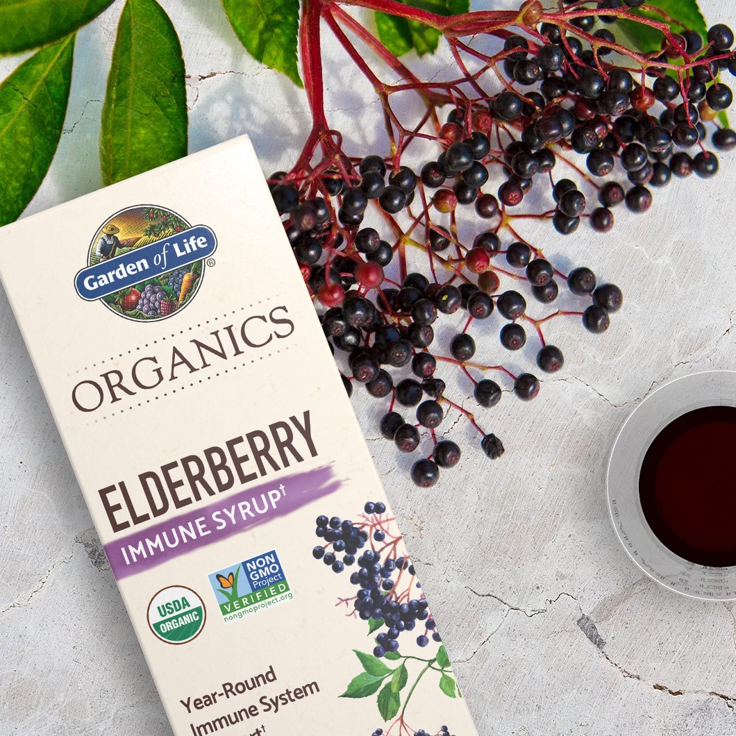 elderberry immune syrup