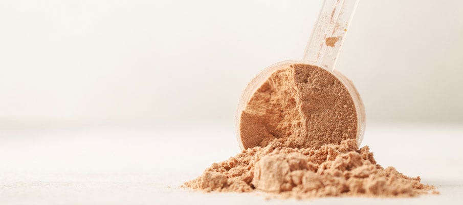 Plant Based Protein Powder