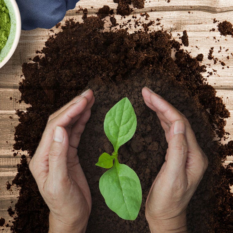 Powdered Greens Supplement 