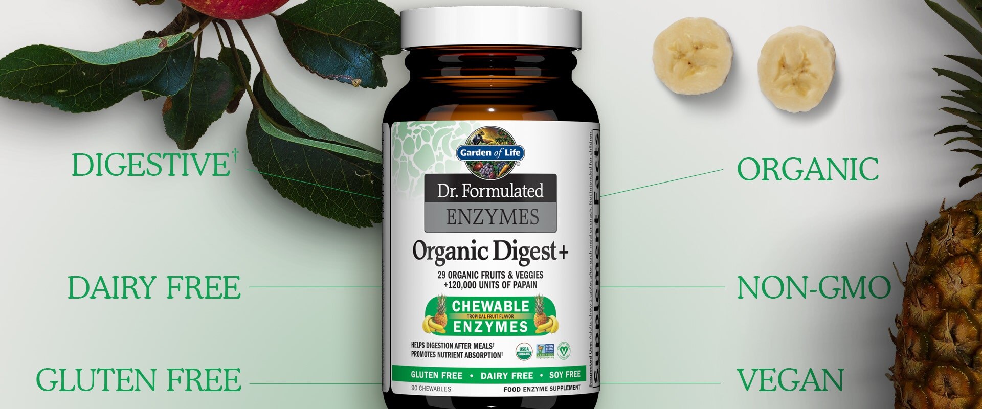 dr formulated digestive enzymes by Garden of Life