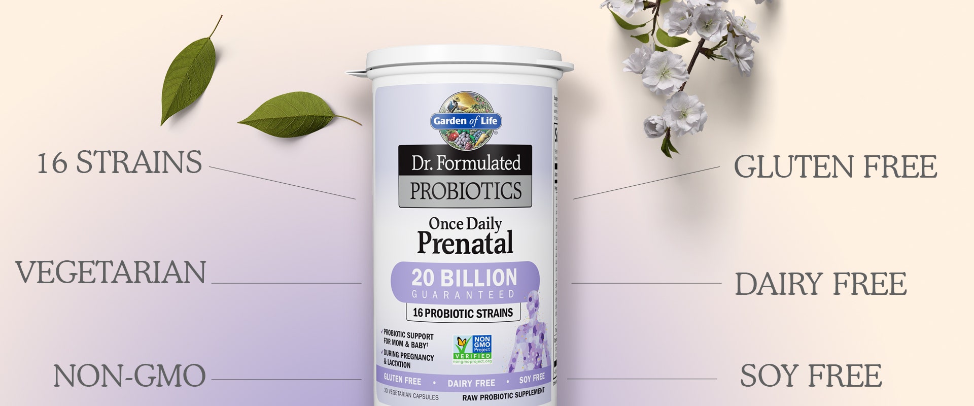 dr formulated probiotics prenatal once daily from garden of life