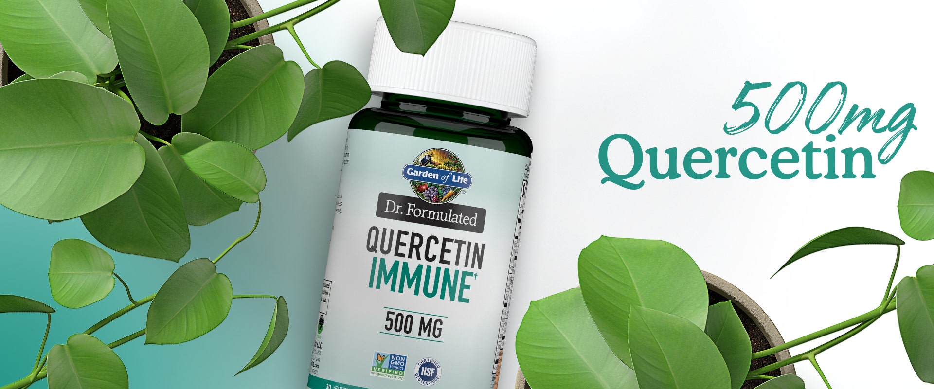 quercetin advanced immune 500mg