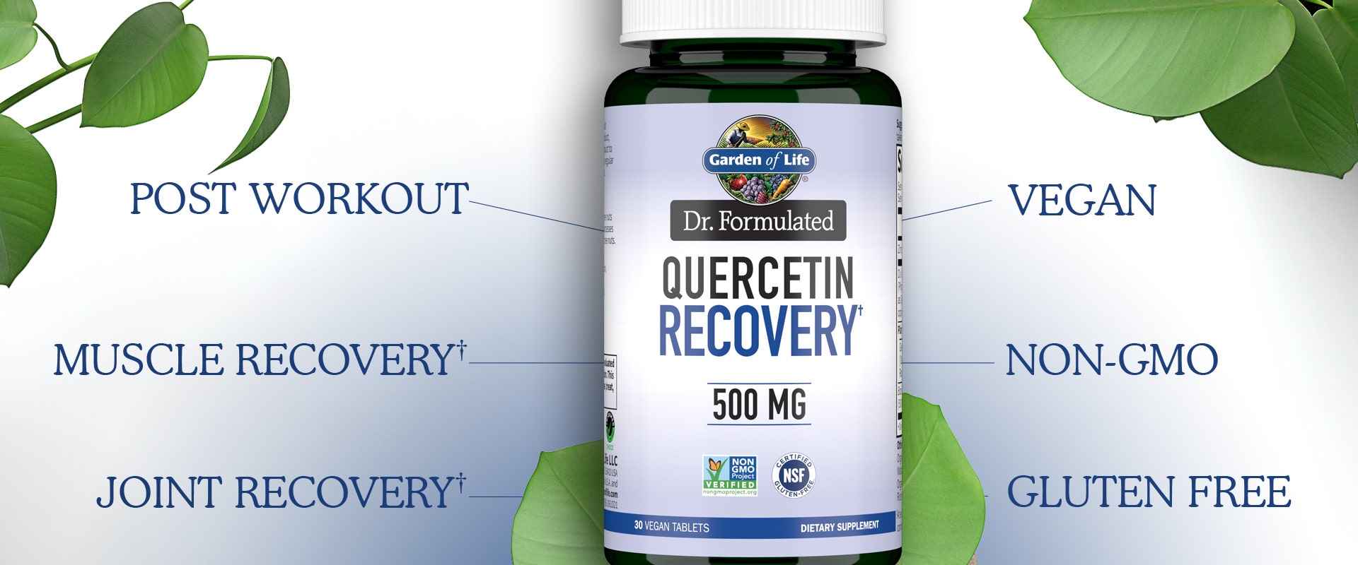 dr formulated 500mg Quercetin Recovery