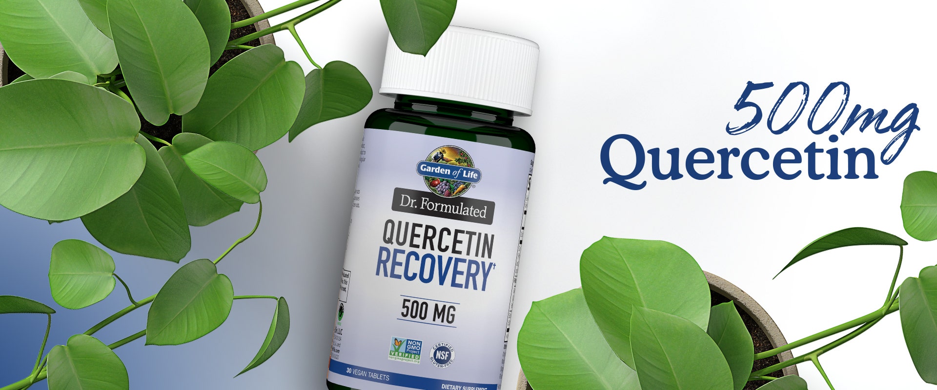 quercetin recovery 500mg