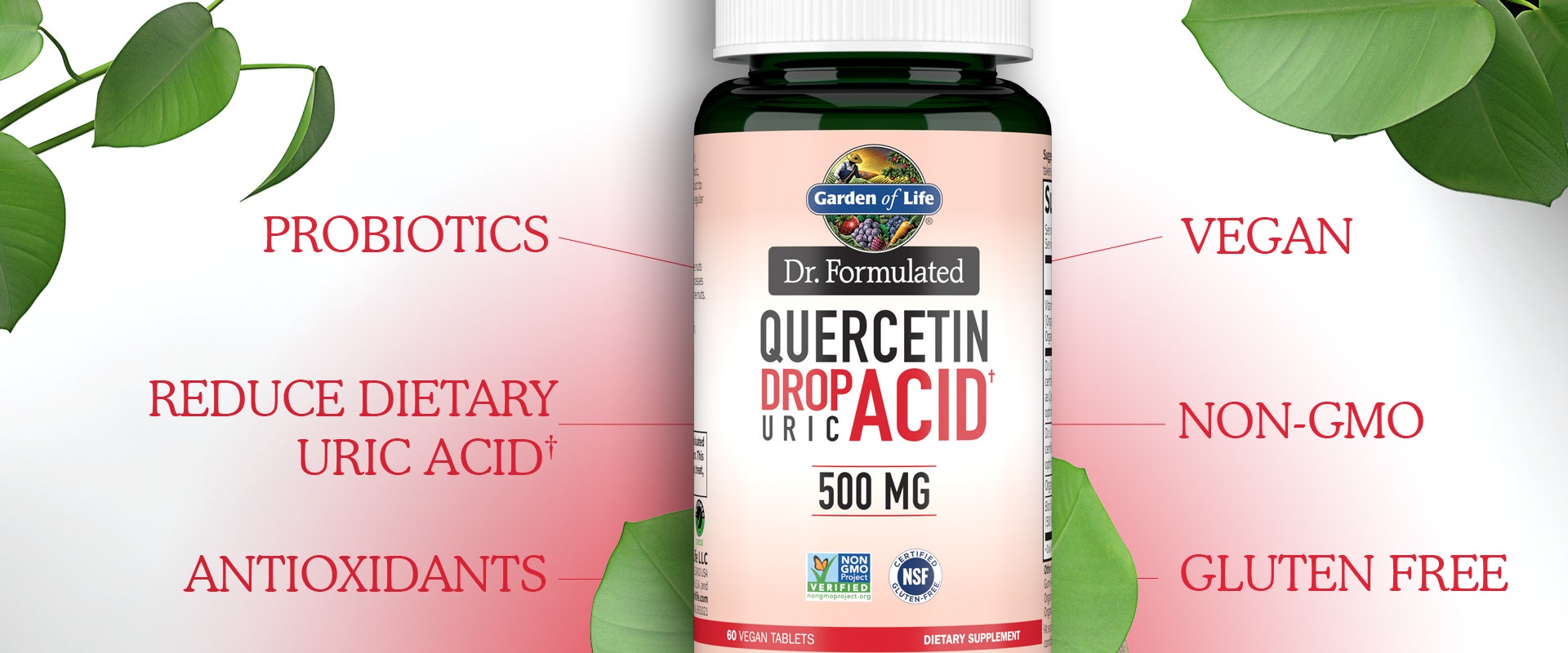 dr formulated 500mg Quercetin Drop Uric Acid by Garden of Life