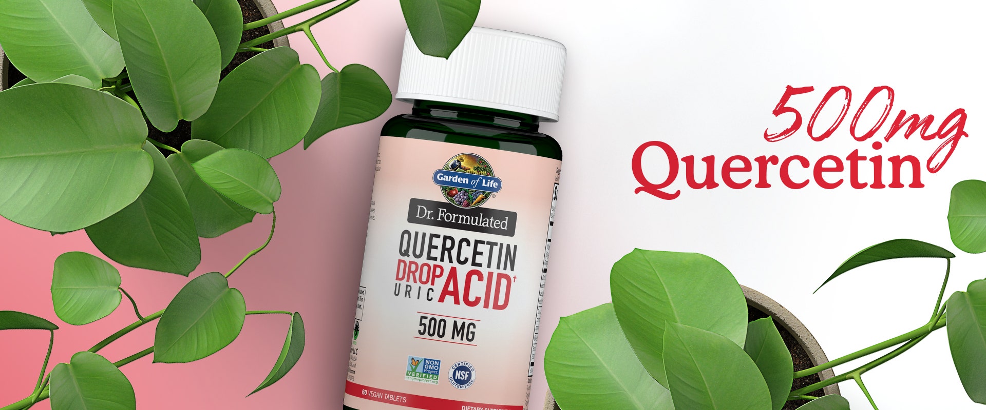 quercetin drop uric acid 500mg