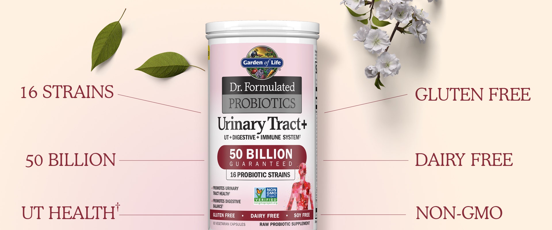 dr formulated probiotics urinary tract from garden of life