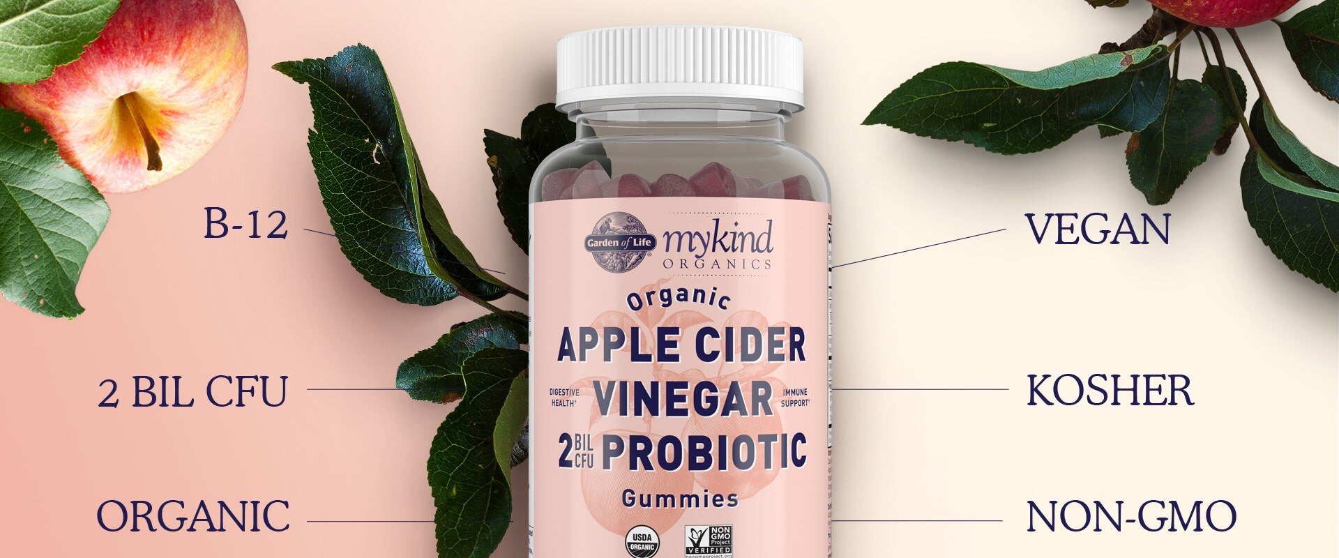 probiotic gummies