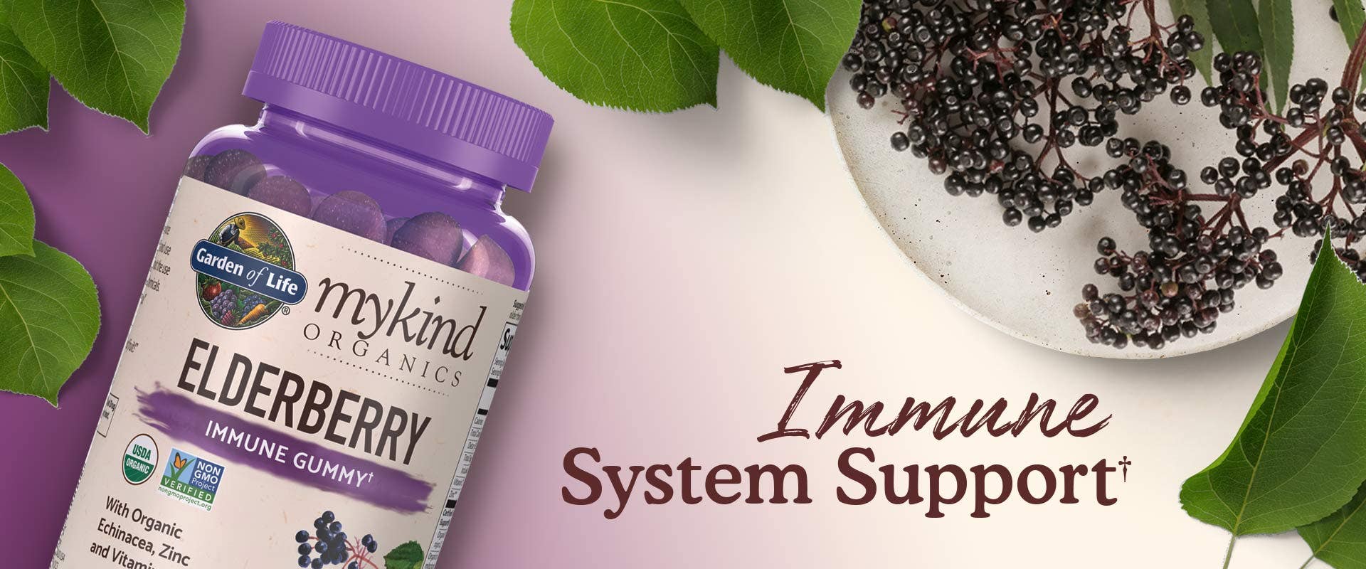 elderberry gummies garden of life mykind
