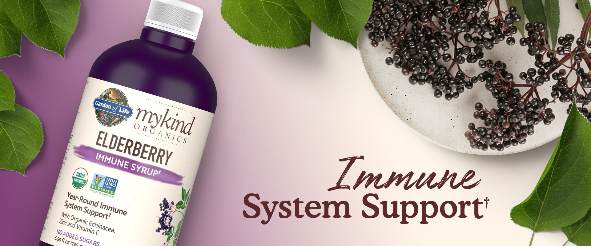Elderberry Syrup by mykind Organics of Garden of Life