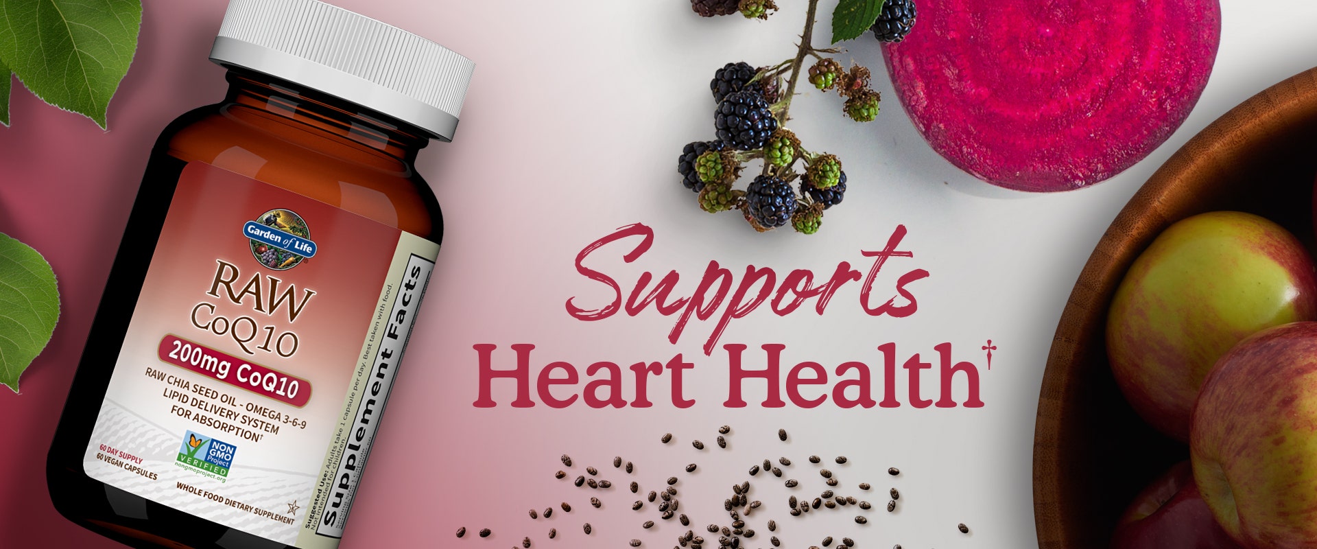 coq10 supplement
