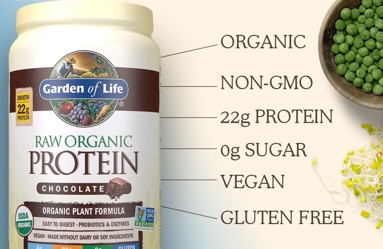 Raw Organic Protein Powder