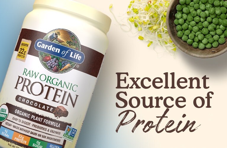 Raw Organic Protein Powder
