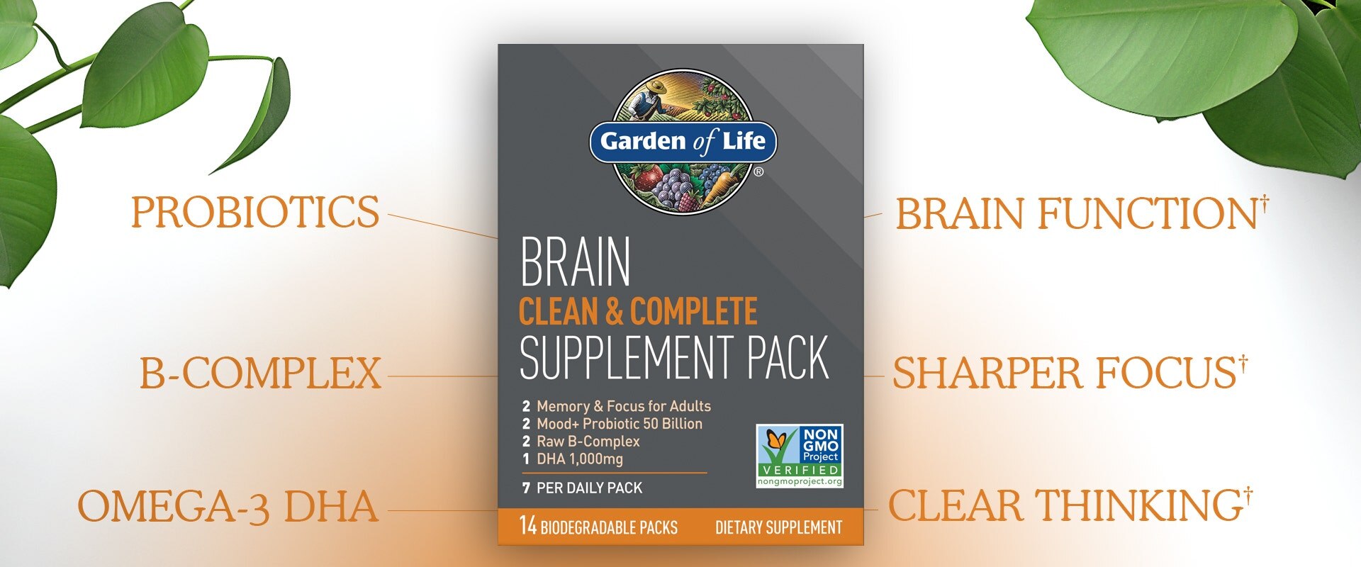 brain supplement pack