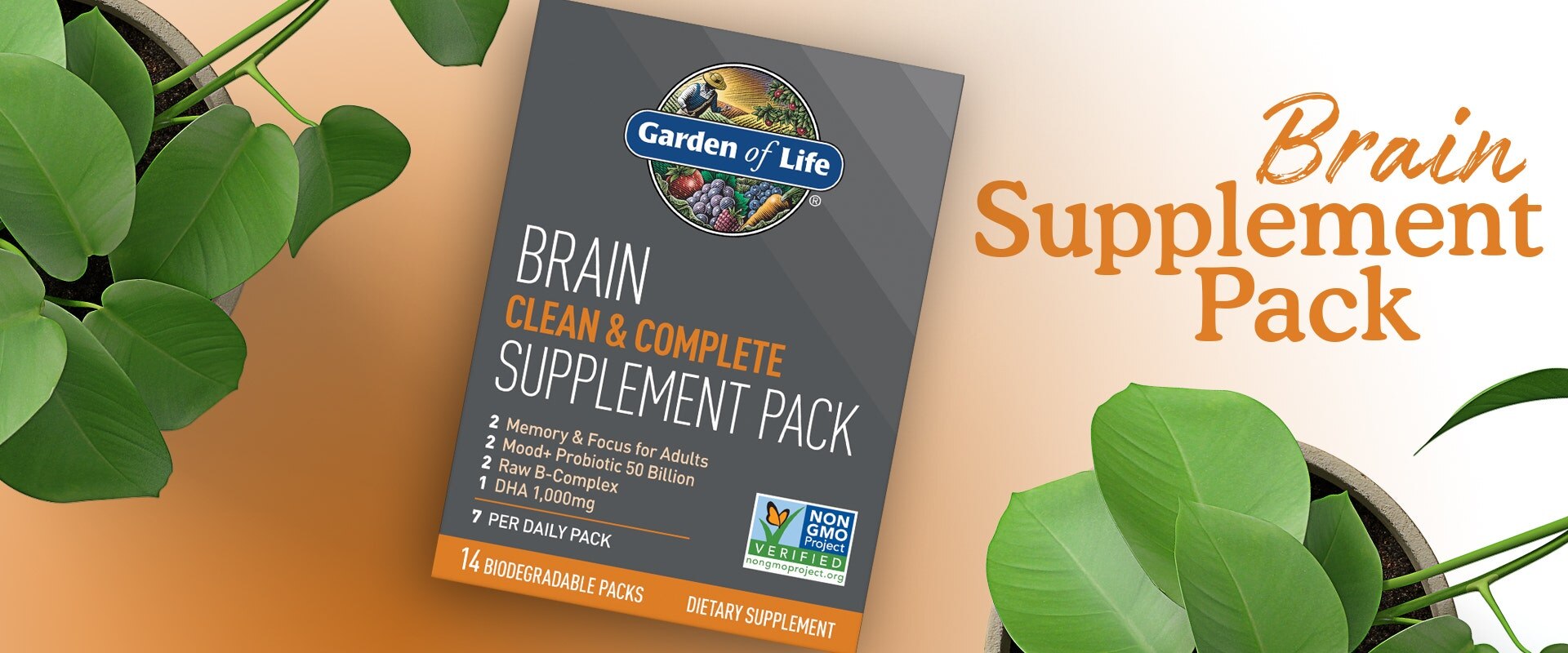 brain supplement pack