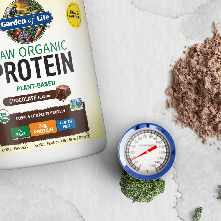 Garden of Life Raw Organic Chocolate Protein Powder