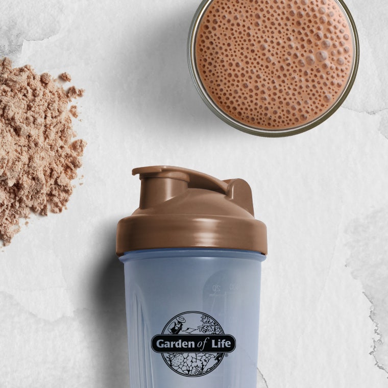 Garden of Life Raw Organic Chocolate Protein Powder