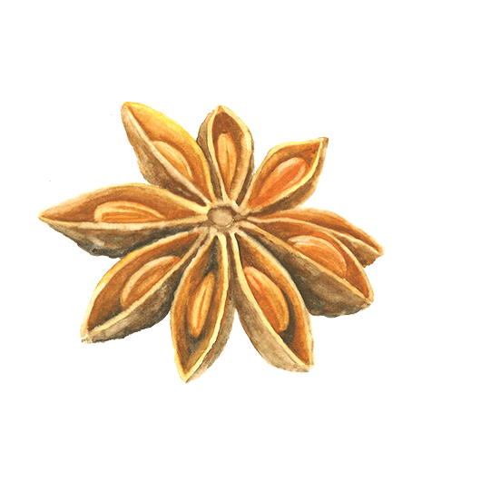 anise seed