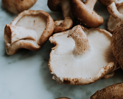 raw mushrooms