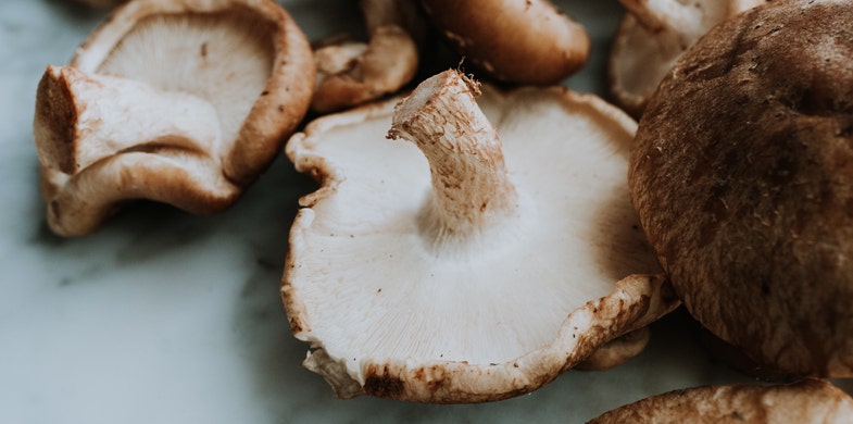 raw mushrooms