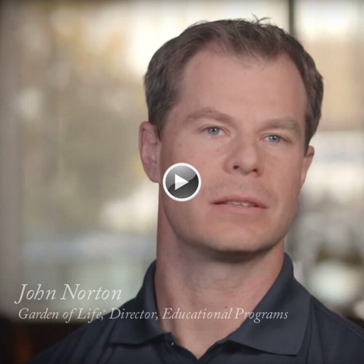 Our Teams Garden of Life