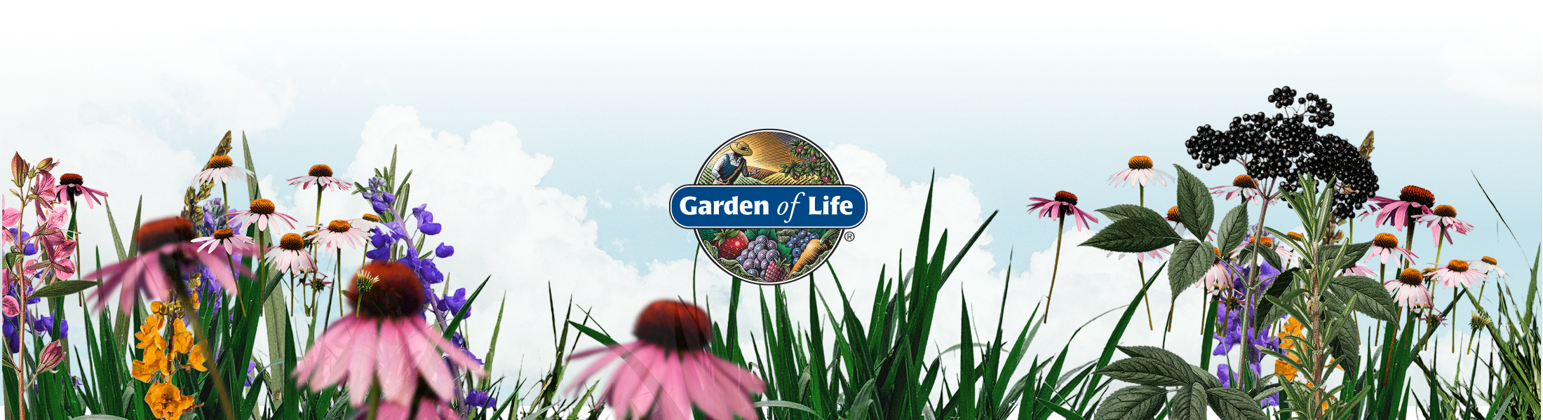 Footer Image